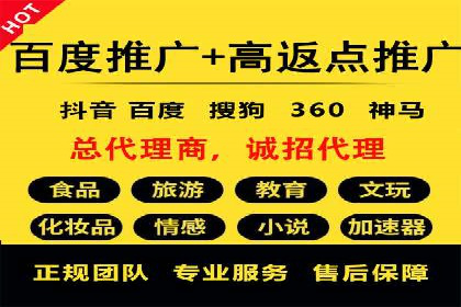 SEM托管服务，成功案例展示转化优势